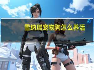 雪纳瑞宠物狗怎么养活