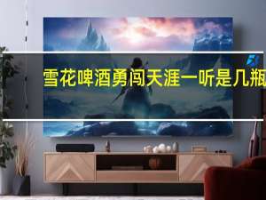 雪花啤酒勇闯天涯一听是几瓶