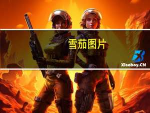 雪茄图片（雪茄速递网）