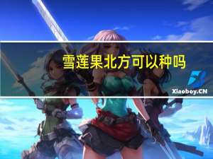 雪莲果北方可以种吗