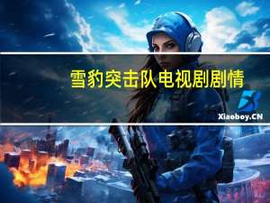 雪豹突击队电视剧剧情（雪豹突击队电视剧）