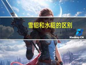 雪貂和水貂的区别