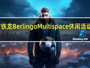 雪铁龙Berlingo Multispace休闲活动车电动