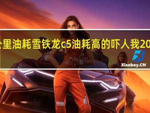 雪铁龙C5百公里油耗 雪铁龙c5油耗高的吓人我200元只跑了150公里