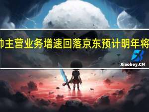 零售换帅 主营业务增速回落 京东预计明年将恢复正常增长