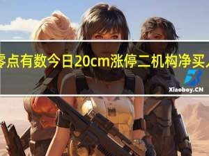 零点有数今日20cm涨停 二机构净买入1392.80万元