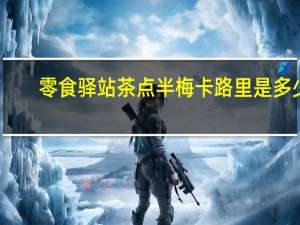 零食驿站 茶点半梅卡路里是多少