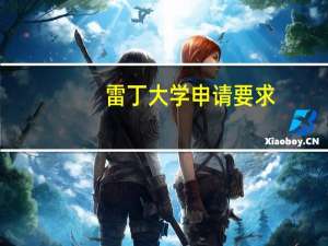 雷丁大学申请要求