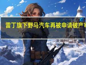 雷丁旗下野马汽车再被申请破产审查