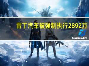 雷丁汽车被强制执行2892万