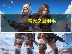 雷光之翼羽毛（雷光之翼）
