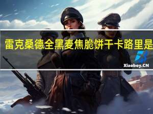 雷克桑德 全黑麦焦脆饼干卡路里是多少