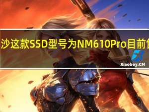 雷克沙这款SSD型号为NM610Pro目前售价899元