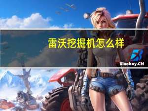 雷沃挖掘机怎么样