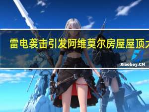 雷电袭击引发阿维莫尔房屋屋顶大火