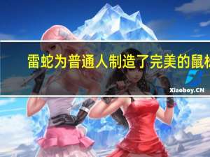 雷蛇为普通人制造了完美的鼠标