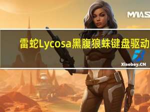 雷蛇Lycosa黑腹狼蛛键盘驱动 3.03 最新版（雷蛇Lycosa黑腹狼蛛键盘驱动 3.03 最新版功能简介）