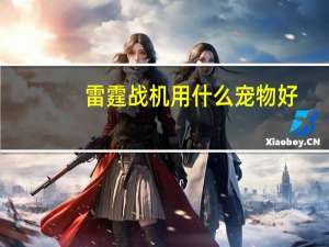 雷霆战机用什么宠物好