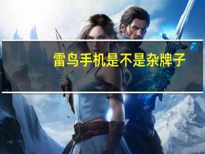 雷鸟手机是不是杂牌子（雷鸟手机怎么样）