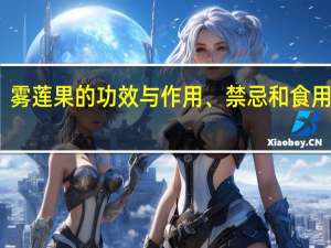 雾莲果的功效与作用、禁忌和食用方法（雾莲）