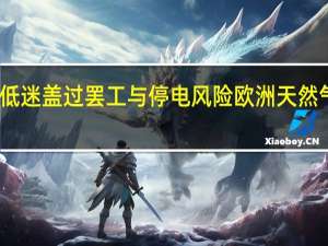 需求低迷盖过罢工与停电风险欧洲天然气价格下跌