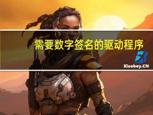 需要数字签名的驱动程序