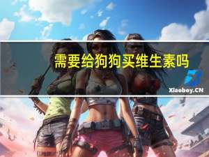 需要给狗狗买维生素吗