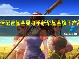 震荡市灵活配置基金显身手 新华基金旗下产品赚钱效应显著