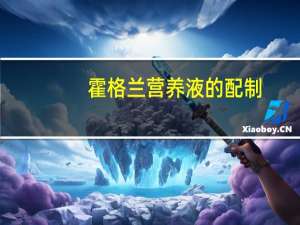 霍格兰营养液的配制（霍格兰营养液配方）