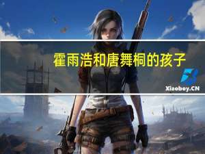霍雨浩和唐舞桐的孩子（霍雨浩和唐舞桐污）
