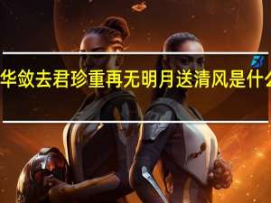 霜华敛去君珍重再无明月送清风是什么意思啊