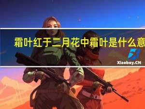 霜叶红于二月花中霜叶是什么意思