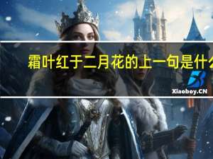 霜叶红于二月花的上一句是什么