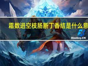 霜数进空枝肠断丁香结是什么意思