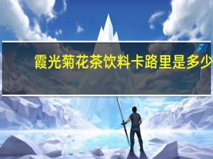 霞光 菊花茶饮料卡路里是多少