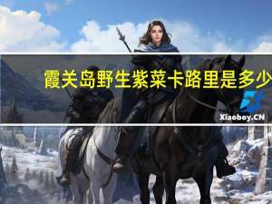 霞关岛 野生紫菜卡路里是多少