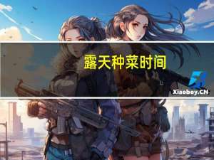 露天种菜时间