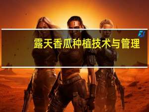 露天香瓜种植技术与管理（露天香瓜种植技术）