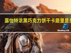 露怡 特浓黑巧克力饼干卡路里是多少