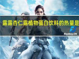 露露 杏仁露植物蛋白饮料的热量是多少