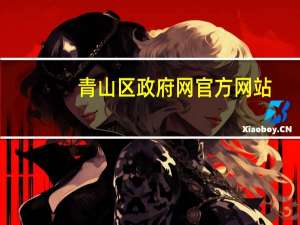 青山区政府网官方网站（青山区政府网）
