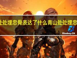 青山处处埋忠骨表达了什么 青山处处埋忠骨课堂笔记