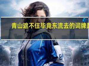 青山遮不住毕竟东流去的词牌是（青山遮不住毕竟东流去）