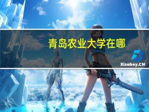 青岛农业大学在哪
