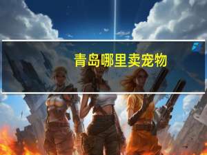 青岛哪里卖宠物
