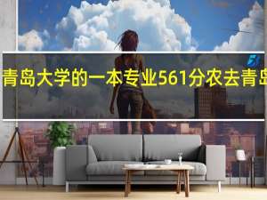 青岛大学的一本专业561分农去青岛大学