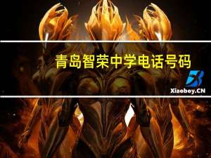 青岛智荣中学电话号码（青岛智荣中学简介）