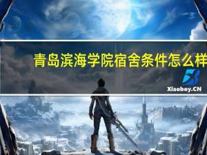 青岛滨海学院宿舍条件怎么样