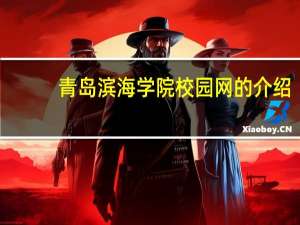 青岛滨海学院校园网的介绍