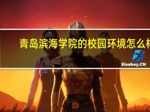 青岛滨海学院的校园环境怎么样